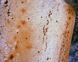 Foto del paso 10 de la receta: Semi-bizcocho de avena