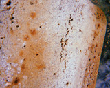 Foto del paso 10 de la receta: Semi-bizcocho de avena