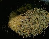 A picture of step 5 of Curd rice.