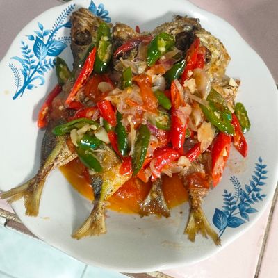 Langkah 8