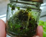 A picture of step 3 of Traditional Mint Sauce.