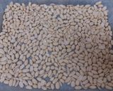 Foto del paso 1 de la receta: Crema de cacahuetes casera (realfooder) 😉