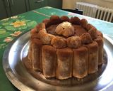 Une image de l'étape 20 de Charlotte aux deux chocolats, liqueur de vanille et mascarpone.