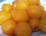 صورة لخطوة 1 من وصفة عصير راني بالخواخ 🍑🍹
