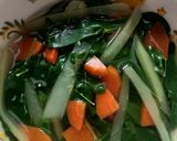 Foto langkah ke 4 dari resep Sayur Bening (Kelor, Wortel, dan Pepaya Muda).