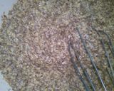 Foto del paso 4 de la receta: Pan de Semillas sin harina, gluten ni azúcar