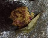 Foto langkah ke 1 dari resep 045. Empal Balado.