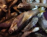 Foto langkah ke 1 dari resep Ikan Bilis goreng cabe hijau.
