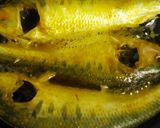 গংগার ছোট সর্ষে ইলিশ (Gangar choto sarshe ilish recipe in bengali) রেসিপি ধাপ - 3 ছবি