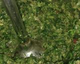 A picture of step 2 of Coriander Mint  Chutney.