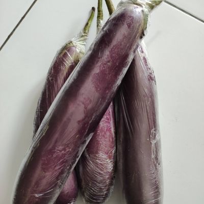 Langkah 1