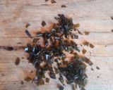 Foto del paso 1 de la receta: Pebre de luche