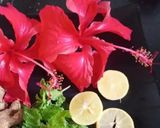 A picture of step 1 of Hibiscus flower Tea 🌸🌸☕🌸🌸.