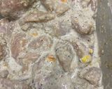 A picture of step 1 of Chicken Shawarma with Irresistible Marinade and Flavor.