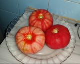Foto del paso 5 de la receta Berenjenas Rebozadas con Tomate frito casero