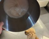 Foto del paso 1 de la receta: Mousse de Dulce de leche