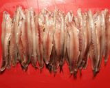 Foto del paso 7 de la receta Anchoas prematuras con solo quince días en salazón