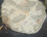 A picture of step 10 of Malida.