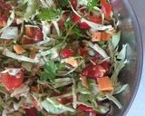 સલાડ (Salad Recipe In Gujarati) રેસીપી સ્ટેપ3ફોટો