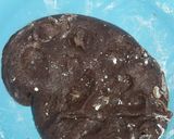 Foto del paso 1 de la receta: Galletitas de chocolate 🍫 ♡