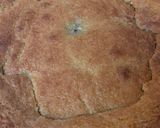 Foto del paso 5 de la receta: Tarta de membrillo que quiso ser Pastafrola pero se fundió el enrejado 😆 🤦🏻♀️