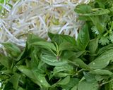 Hình bước làm 6 của món Hủ tiếu bò kho GIA TRUYỀN 🥩🍅🌶