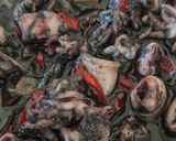 Foto langkah ke 4 dari resep Cumi Hitam.