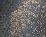 Foto del paso 2 de la receta: Trufas de Pan, Queso y Maní con rebozado especial