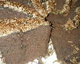 Foto langkah ke 7 dari resep Cake cocolate (brownise panggang) ala mamanya AL.