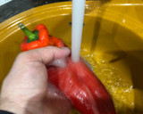 Foto del paso 2 de la receta: Pollo al horno con verduras