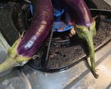 Foto langkah ke 1 dari resep 265. Terong Bakar Kuah Santan.