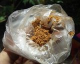 Foto langkah ke 8 dari resep Nasi Samin Banjar.
