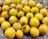Foto del paso 2 de la receta: Mermelada de nísperos casera