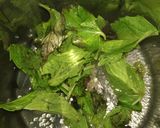 मिंट लेमन आइस टी (Mint lemon ice tea recipe in Hindi) रेसिपी चरण 1 फोटो
