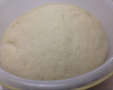 Foto del paso 8 de la receta: Pan Dulce (panettone)