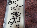 Budín de limón: el que nunca falla 🍋