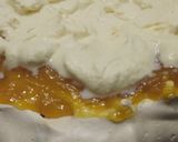 A picture of step 6 of Pavlova.