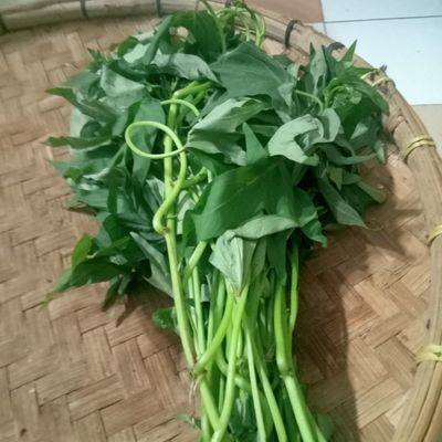 Langkah 1