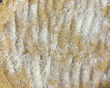 Foto del paso 5 de la receta: Crackers de Garbanzos🥯