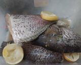 Foto langkah ke 1 dari resep Pesmol Gurame by NAZ.