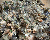 Foto del paso 7 de la receta: Polpette di melanzane —albóndigas de berenjena a la calabresa— (en airfryer)