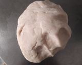 A picture of step 2 of Dal Moth.