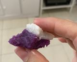 Foto langkah ke 6 dari resep Kue talam ubi ungu.