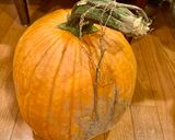 A picture of step 1 of How to Carve a Pumpkin for Halloween!.
