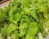 Foto langkah ke 1 dari resep Salad Ayam Shirataki #my diabetic meal.