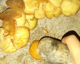 Foto langkah ke 1 dari resep Semur jengkol.