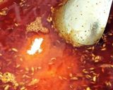 લાલ મરચા અથાણું(Red Chilli Pickle Recipe in Gujarati) રેસીપી સ્ટેપ4ફોટો