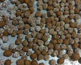 Foto langkah ke 4 dari resep Brown Sugar Boba / Golden Tapioca pearl.