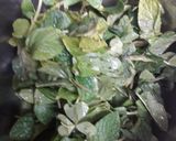 A picture of step 1 of Mint Raita.