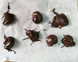 Foto del paso 1 de la receta Galletas de chocolate rellenas (veganas)